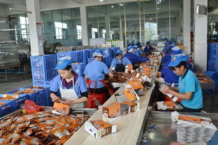 食品生產經營的法定出廠與銷售要求