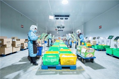 淳百味 傳承與創新并舉，邁入沙縣小吃食品經營新征程