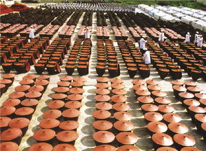 用好“老干媽”金字招牌，貴州三年聚力打造辣椒產業強省新藍圖